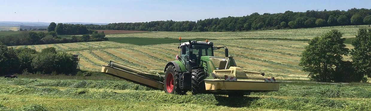 Landschaft mit Traktor auf Feld