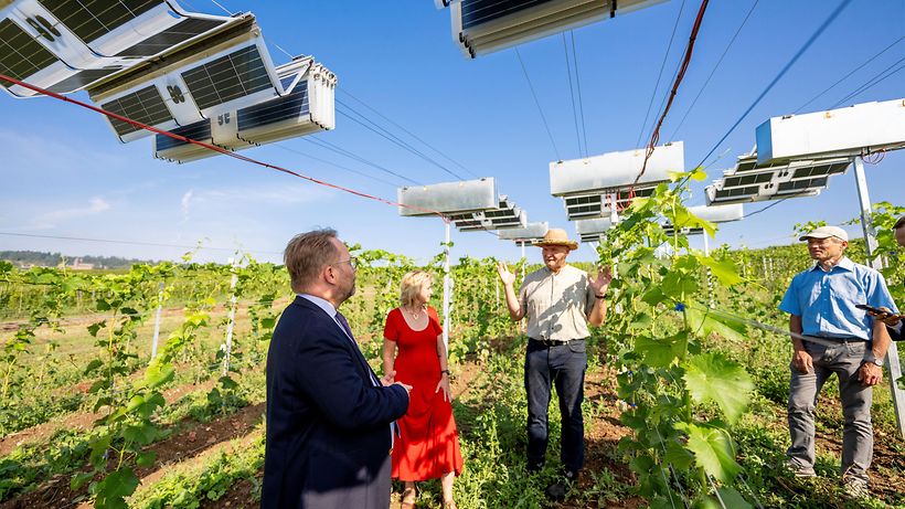 20240905_Gremmels_Bei der Begehung des mobilen Teils der Agri-PV-Anlage der Weiterentwicklung der stationären Agri-PV-Einheit (Q