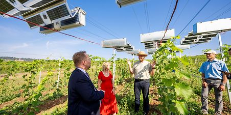 20240905_Gremmels_Bei der Begehung des mobilen Teils der Agri-PV-Anlage der Weiterentwicklung der stationären Agri-PV-Einheit (Q